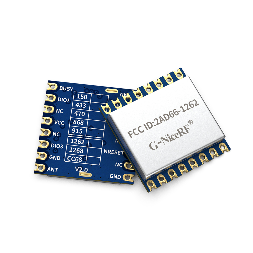 LoRa1262-915: Сертифицированный FCC ID SX1262, модуль LoRa 915 МГц с защитой от электростатического разряда